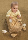 Little baby sits in a square wicker basket and around him are little chickens