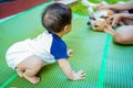 Little baby try to crawl on green mat  and dog soft blurred background ,toddler playing with beagle dog in her backyard. Royalty Free Stock Photo