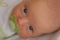 Little baby is watching you Royalty Free Stock Photo