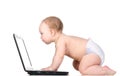 Little baby is working on laptop Royalty Free Stock Photo