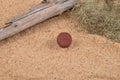 Little ball on beach