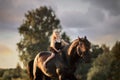 Little ballerina girl with black friesian stallion Royalty Free Stock Photo