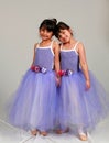 Little Ballerinas Royalty Free Stock Photo