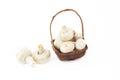 Little basket with mushrooms Royalty Free Stock Photo