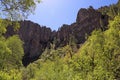 Little Bear Canyon Vegetation Royalty Free Stock Photo