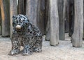 A little bear made of scrap metal