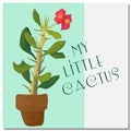 Little beatiful cactus tree in pot