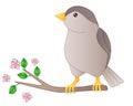 Little beautiful bird - vector full color picture. Sparrow is sitting on a flowering branch. Spring branch with leaves