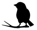 Little beautiful bird - vector silhouette for logo or pictogram. Sparrow sitting on a branch - icon. Bird on a branch black Royalty Free Stock Photo