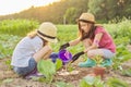 Little beautiful gardeners in gloves with garden shovels watering planted flower