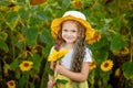 A little beautiful girl holds a sunflower in a field in summer Royalty Free Stock Photo