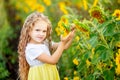 A little beautiful girl holds a sunflower in a field in summer Royalty Free Stock Photo