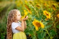 A little beautiful girl holds a sunflower in a field in summer Royalty Free Stock Photo