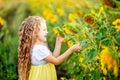 A little beautiful girl holds a sunflower in a field in summer Royalty Free Stock Photo