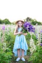 Little beautiful girl in a straw hat and dress in a field of lupins. Girl holds a large bouquet of purple lupins in a flowering fi