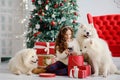 A little beautiful girl and three large fluffy white dogs next to the New Year Christmas tree unpack red boxes with gifts. New