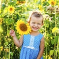 Little 3 years old girl with short hair in blue dress in summer time smile in sunflowers field. Big yellow sunflower lay on Royalty Free Stock Photo