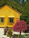 Bright yellow house and tree with pink flowers on a green background Royalty Free Stock Photo