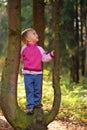 Little beauty girl on tree