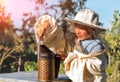 Little beekeeper blows smoker for bees