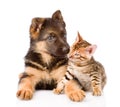 Little bengal cat and german shepherd puppy dog lying together. isolated Royalty Free Stock Photo
