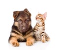 Little bengal cat and german shepherd puppy dog lying together. Royalty Free Stock Photo