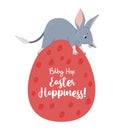 Cute Easter bilby in egg. Australian animal is wild mammal. Easter greeting card. Vector illustration in flat cartoon