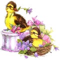 Little bird, gift and flowers background Royalty Free Stock Photo