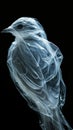 a little bird made of transparent plastic bag on black background Royalty Free Stock Photo