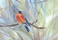 Little bird red bullfinch on the branch watercolor background