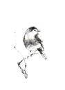 Little bird sitting on a branch of a tree Japanese style original sumi-e ink painting.