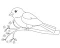 Little bird - sparrow sitting on a flowering branch - linear vector spring picture for coloring. Cute bird on a branch with young