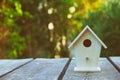 Little Birdhouse in Spring with blossom almond flower