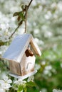 Little Birdhouse in Spring with blossom cherry flower sakura Royalty Free Stock Photo