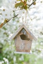 Little Birdhouse in Spring with blossom cherry flower sakura Royalty Free Stock Photo