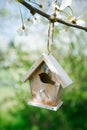 Little Birdhouse in Spring with blossom cherry flower sakura Royalty Free Stock Photo