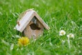 Little Birdhouse in Spring new grass