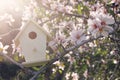 Little birdhouse in spring over blossom cherry tree. Royalty Free Stock Photo