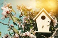 Little birdhouse in spring over blossom cherry tree. Royalty Free Stock Photo