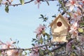 Little birdhouse in spring over blossom cherry tree. Royalty Free Stock Photo