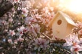 Little birdhouse in spring over blossom cherry tree. Royalty Free Stock Photo