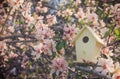 Little birdhouse in spring over blossom cherry tree. Royalty Free Stock Photo