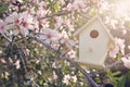 Little birdhouse in spring over blossom cherry tree. Royalty Free Stock Photo