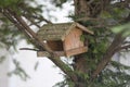 Little birdhouse in a tree