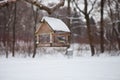 Birds in the bird feeder in the winter snow forest Royalty Free Stock Photo