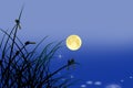 Little birds on the grass in full moon night