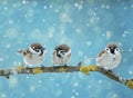 little birds sitting on the branch in falling snow in the