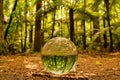 A little bit of lens ball refraction magic in the woods Royalty Free Stock Photo