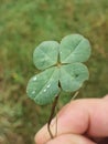 Little bit of luck Royalty Free Stock Photo