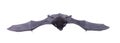 Little black Bat isolated on white background. Royalty Free Stock Photo